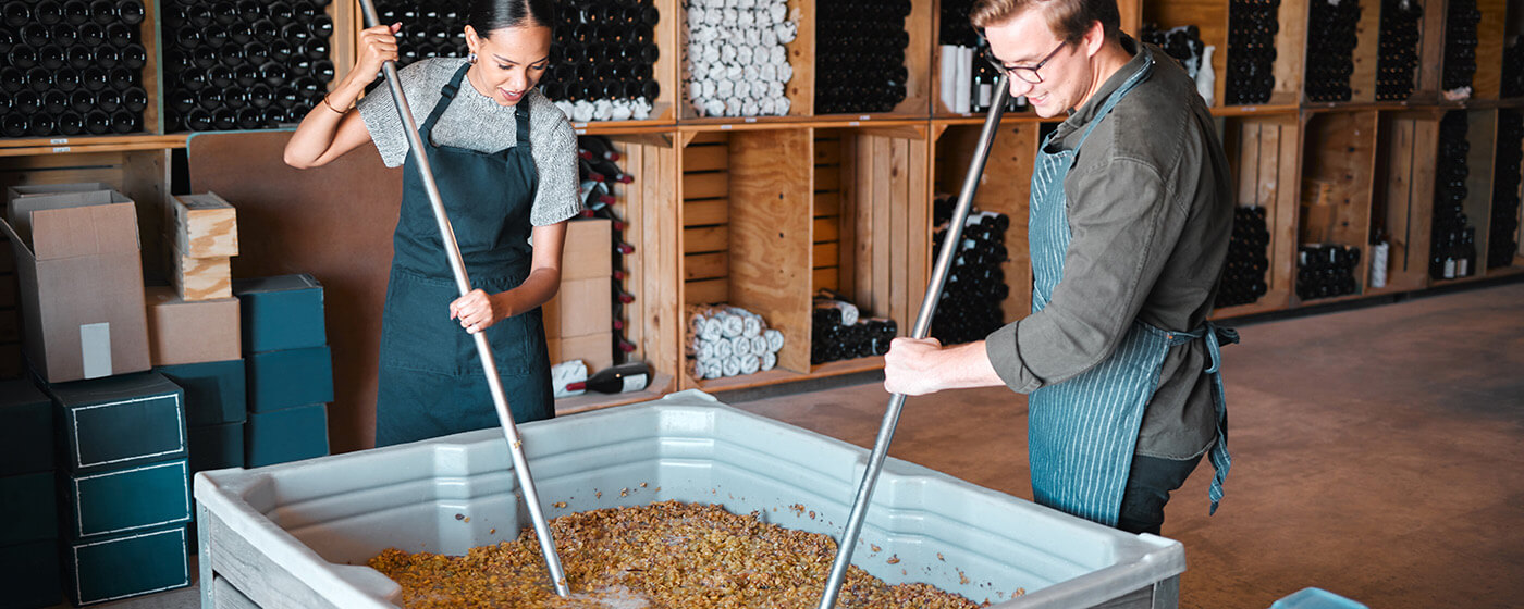 So entsteht Wein – moderne Weinherstellung einfach erklärt