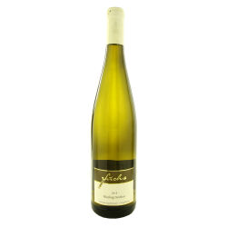 Riesling trocken 2020 0,75 l - Weingut Fuchs