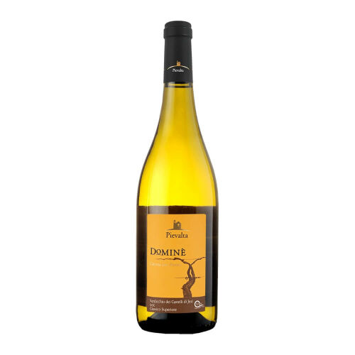 Domin, Verdicchio dei Castelli di Jesi 2019 0,75 l - Pievalta
