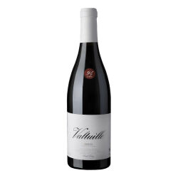 Valtuille Vino de Villa 2018 0,75 l - Castro Ventosa /...