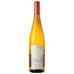 Bacharacher Riesling Kabinett feinherb 2020 0,75 l -...