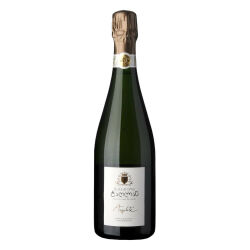 Tarlant Argilit IV, Amphorae Champagne 2015 0,75 l -...