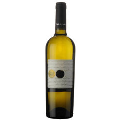 Pinot Grigio 2023 0,75 l - Paladin