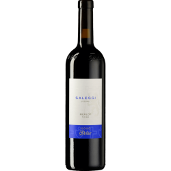 Merlot di Losone Ticino DOC Saleggi 2021 0,75 l - Vini...