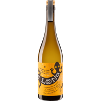 All Day Long White  Bio Vegan 2021 0,75 l - NELEMAN