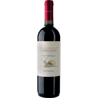 Barbera dAsti DOCG Rosso Fuoco - Bio 2022 0,75 l - Vite Colte