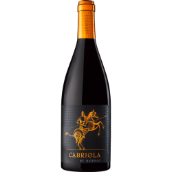 Campo de Borja D.O. Cabriola by Borsao 2019 0,75 l -...