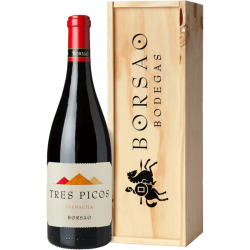 Campo de Borja D.O. Tres Picos 2022 1,5 l - Bodegas Borsao