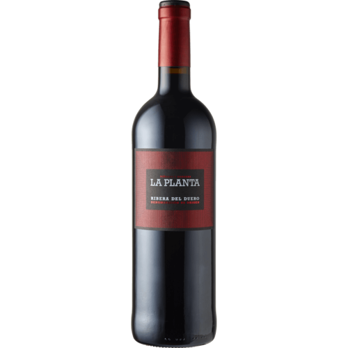 Ribera del Duero D.O. La Planta 2023 0,75 l - Bodegas Arzuaga