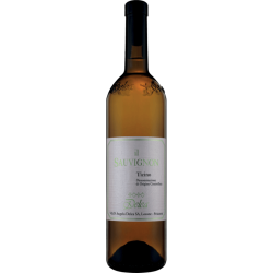 Il Sauvignon Ticino DOC 2024 0,75 l - Vini &...