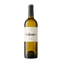 Verdejo Rueda DO 2024 0,75 l - Valdecuevas