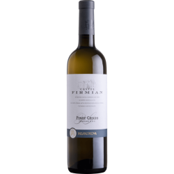 Pinot Grigio Trentino DOC 2024 0,75 l - Castel Firmian...