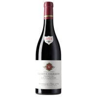 Gevrey-Chambertin les Cazetiers 2023 0,75 l - Remoissenet Père & Fils