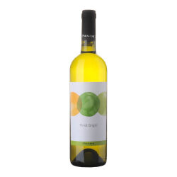 Pinot Grigio 2024 0,75 l - Paladin