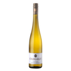 Qvinterra Riesling Trocken 2024 0,75 l - Kühling-Gillot