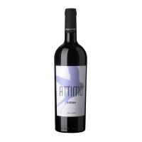 attimo Syrah 2022 0,75 l - Paladin