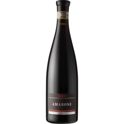 Amarone della Valpolicella DOCG 2022 0,5 l - Cami