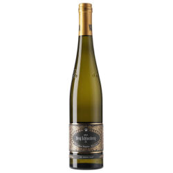 Berg Schlossberg Riesling GG 2023 0,75 l - Weingüter...
