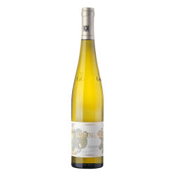 Riesling Ölberg Grosses Gewächs 2024 0,75 l -...