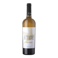 attimo Pinot Grigio 2025 0,75 l - Paladin