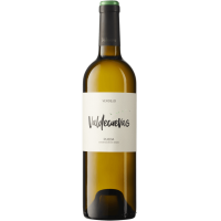 Verdejo Rueda DO 2025 0,75 l - Valdecuevas