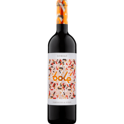 Campo de Borja D.O. Bolé 2021 0,75 l - Bodegas Borsao