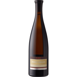 Pinot Grigio Venezia DOC 2025 0,5 l - Cami