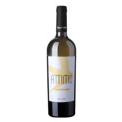 attimo Chardonnay 2025 0,75 l - Paladin