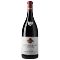 Chambolle-Musigny Les Charmes 2022 1,5 l - Remoissenet Père & Fils
