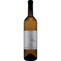Il Sauvignon Ticino DOC 2025 0,75 l - Vini &...