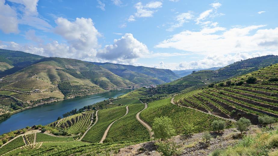 Douro